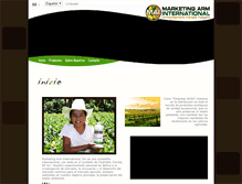 Tablet Screenshot of es.marketingarm.com